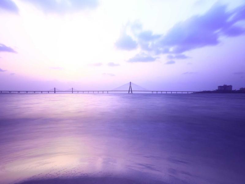 小王子<br>lyv4augd.cn 玫瑰与狐狸